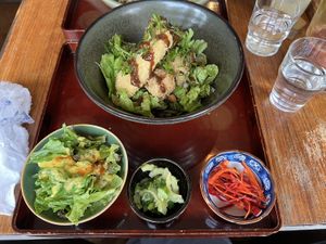 Rice cutlet bowl and sides  at Natural Food Village in Kyoto