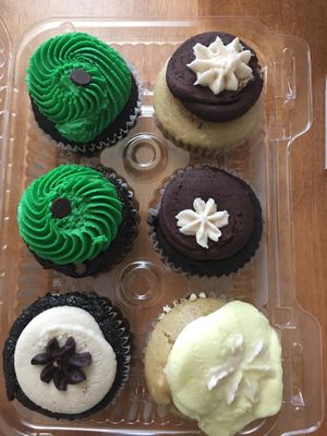 Mint chocolate chip, lemon raspberry, chocolate with vanilla icing, and chocolate with chocolate icing 💚 at Dia Doce Gourmet Cupcakes in West Chester