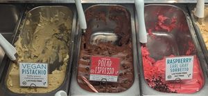 vegan flavors at Gemelli Gelato in West Chester
