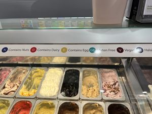 A close up of the different allergen/ dietary requirement labels. Brown is vegan    at 48 Flavours in Adelaide