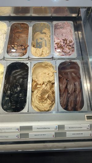 Six vegan flavours at 48 Flavours in Adelaide