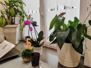  at Al Lampione in Gorizia