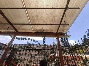  at Las Gringas in Arequipa