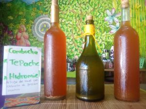 Home made Kombucha and Tepache a special mexican pineapple probiotic drink! at Organic Love in Cruz De Huanacaxtle