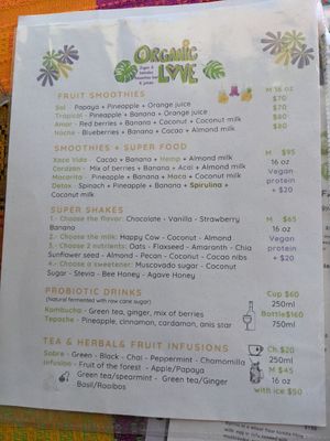 Menu at Organic Love in Cruz De Huanacaxtle