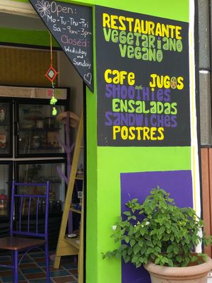 Bienvenudos/Welcome at Organic Love in Cruz De Huanacaxtle