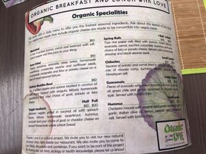 Menu - al muerzo/lunch at Organic Love in Cruz De Huanacaxtle