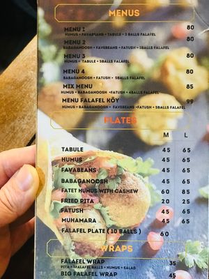  at Falafel Koy in Istanbul