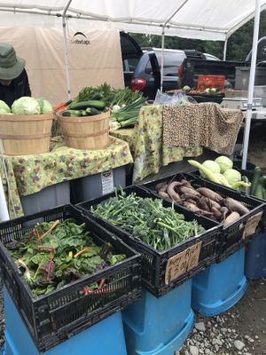 Bountiful vegs at Homer Farmers Market in Homer