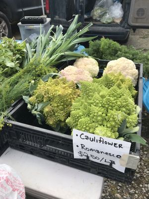 Huge romanesco at Homer Farmers Market in Homer