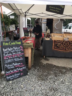 Mushrooms at Homer Farmers Market in Homer