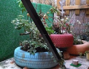 Inside Patio, very pleasent for a beer or a meal at Tasc'Art in Porto