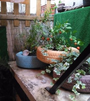 Inside Patio at Tasc'Art in Porto