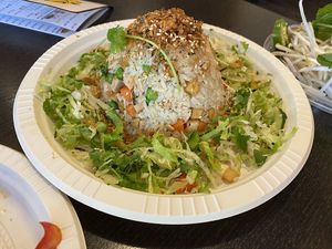 #45 - Mixed Rice at Golden Bamboo in San Jose