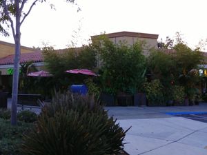 Outdoor seating area. Lots of plants at Golden Bamboo in San Jose
