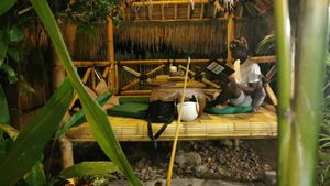 Setting in the garden at Galanga in Bunutan