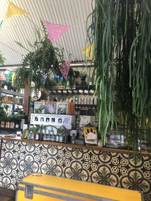 Full of plants! at The Fields Beneath - Kentish Town in North West London