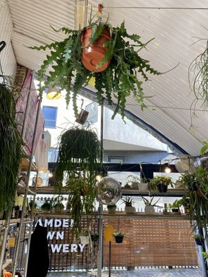 Inside at The Fields Beneath - Kentish Town in North West London