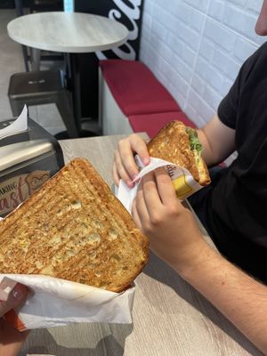   at Breaking Toast in Bologna