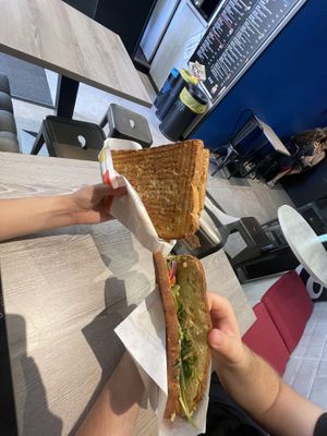   at Breaking Toast in Bologna