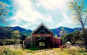 Th Barn at Farm Sanctuary SA at Farm Sanctuary SA in Franschhoek