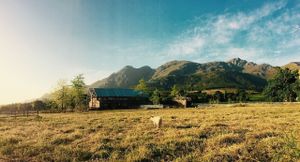 The view of the sanctuary from afar at Farm Sanctuary SA in Franschhoek