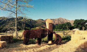 Creative artwork sculptures at Farm Sanctuary SA in Franschhoek