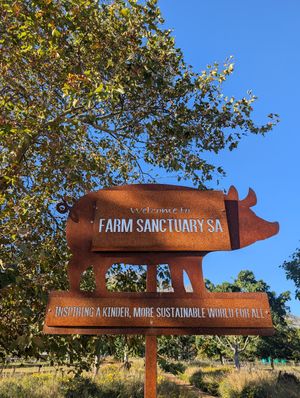  at Farm Sanctuary SA in Franschhoek