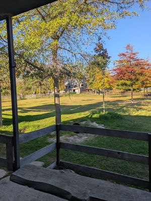  at Farm Sanctuary SA in Franschhoek