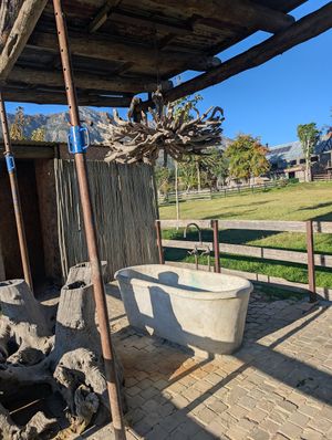  at Farm Sanctuary SA in Franschhoek