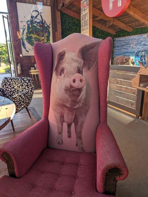  at Farm Sanctuary SA in Franschhoek