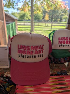  at Farm Sanctuary SA in Franschhoek