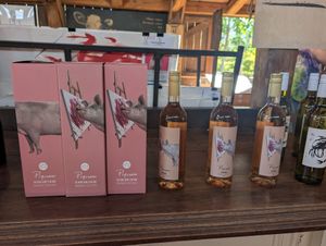 4-5 different types of vegan wine at Farm Sanctuary SA in Franschhoek