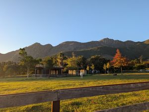 at Farm Sanctuary SA in Franschhoek