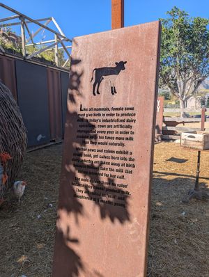  at Farm Sanctuary SA in Franschhoek