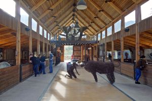 Farm Sanctuary SA
  at Farm Sanctuary SA in Franschhoek