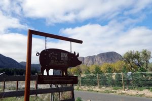 Farm Sanctuary SA
  at Farm Sanctuary SA in Franschhoek