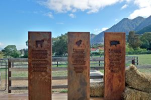 Farm Sanctuary SA
  at Farm Sanctuary SA in Franschhoek