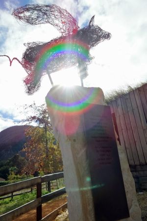 Farm Sanctuary SA
  at Farm Sanctuary SA in Franschhoek