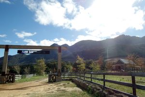 Farm Sanctuary SA
  at Farm Sanctuary SA in Franschhoek