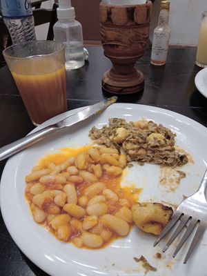  at Congolinaria - Alfonso Bovero in Sao Paulo