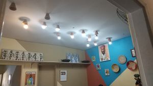  at Congolinaria - Alfonso Bovero in Sao Paulo