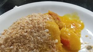  at Congolinaria - Alfonso Bovero in Sao Paulo