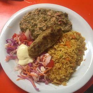 Simba at Congolinaria - Alfonso Bovero in Sao Paulo