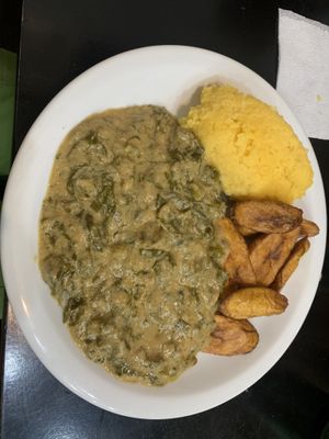   at Congolinaria - Alfonso Bovero in Sao Paulo