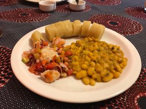 . at Congolinaria - Alfonso Bovero in Sao Paulo