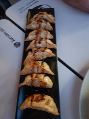 Vegetable gyoza at El Manglar in Oviedo