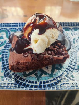 Brownie at El Manglar in Oviedo