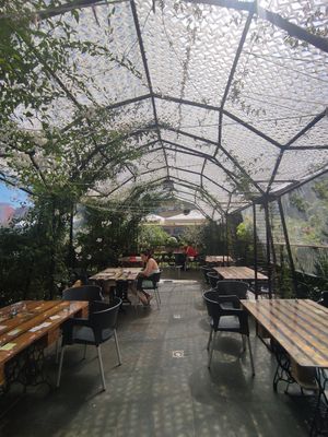 La terraza at El Manglar in Oviedo