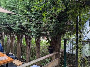  at El Manglar in Oviedo